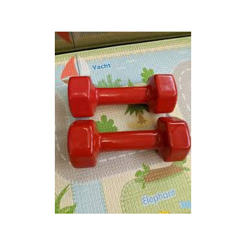 Pair Of Pro Action Fitness Dumbbell Set Of 2, 2 Kg Each