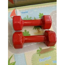 Pair Of Pro Action Fitness Dumbbell Set Of 2, 2 Kg Each