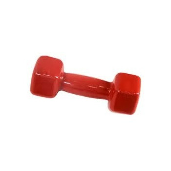 Fitness Dumbbell Set Of 1, Colour Red, 1 Kg Each