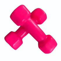 2-Piece Strenght Training Dumbbell Set, 5 Kg Each
