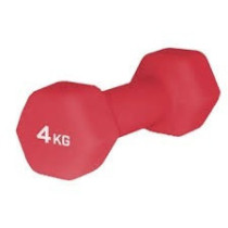 2-Piece Double Dumbbells, 4 Kg Each