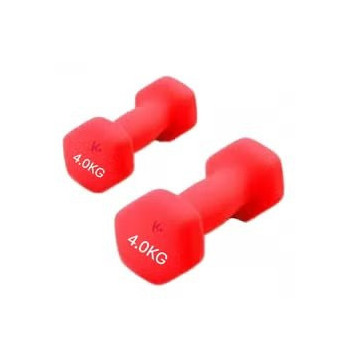 2-Piece Weight Lifting Training Dumbbell Set, 4 Kg Each