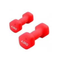 2-Piece Weight Lifting Training Dumbbell Set, 4 Kg Each