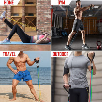 12-Piece Resistance Band Set With Exercise Tube Bands, Legs Ankle Straps And Bonus Ebook