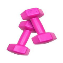2-Piece Dumbbell Set, Pink Colour, 1 Kg Each