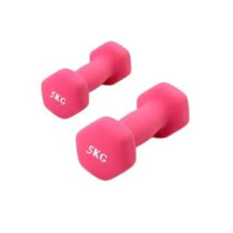 2-Piece Dumbbell Set, 5 Kg Each, Pink Colour