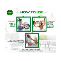 Dettol Antiseptic Disinfectant, 500 ml