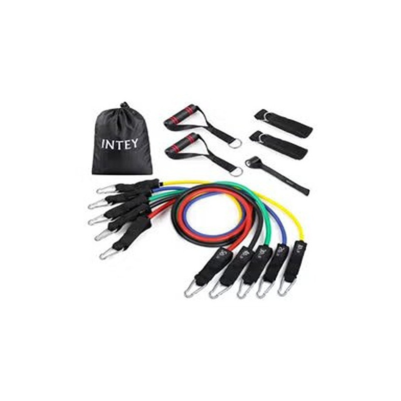 Intey Resistance Band Set Exercise Bands For Resistance Training Physical Therapy Workouts Set Of 5, 20cm