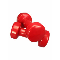 2-Piece Exercise Dumbbells, Red Colour, 3 Kg Each