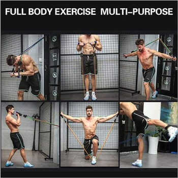 11-Piece Resistance Bands Set With 4 Wide Handles, Door Anchor, Ankle Straps, User Manual, Carry Bag, 150 Lbs Anti Snap Exercise For Unisex At Home Gym