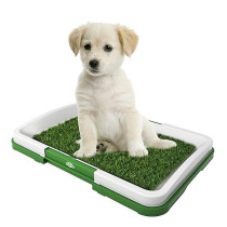 Training Tray With Grass Mat, Beige/Green Colour