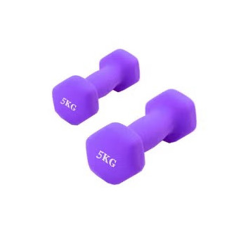 2-Piece Hexagon Dumbbell Set, Purple Colour, 5 Kg Each