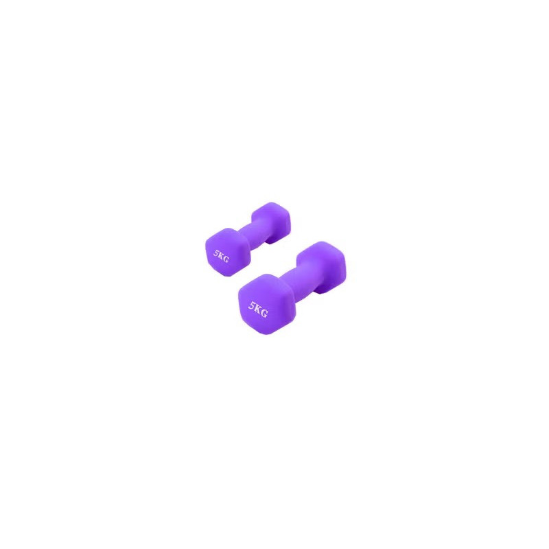 2-Piece Hexagon Dumbbell Set, Purple Colour, 5 Kg Each