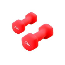 Set Of 2 Hexagonal Dumbbell, Red Colour, 5 Kg Each