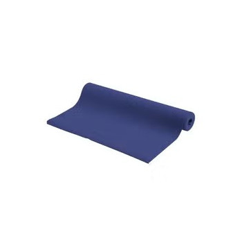 Pro-Form Wear-Resistant Yoga Mat, Blue Colour