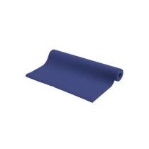 Pro-Form Wear-Resistant Yoga Mat, Blue Colour
