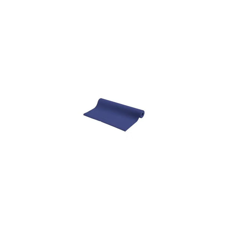 Pro-Form Wear-Resistant Yoga Mat, Blue Colour