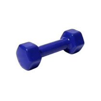 1-Piece Weight Lifting Dumbbells, Blue Colour, 5Kg
