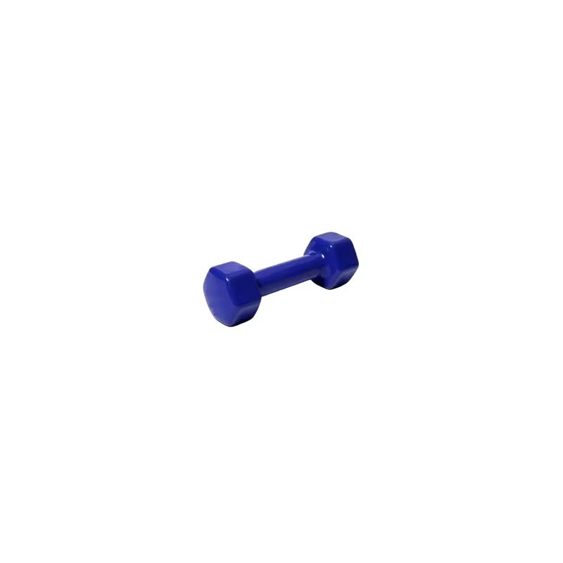 1-Piece Weight Lifting Dumbbells, Blue Colour, 5Kg