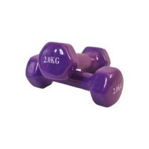 2-Piece Dumbbells, Purple Colour, 2 Kg Each