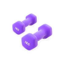 2-Piece Hexagon Dumbbell Set, Purple Colour, 1 Kg Each