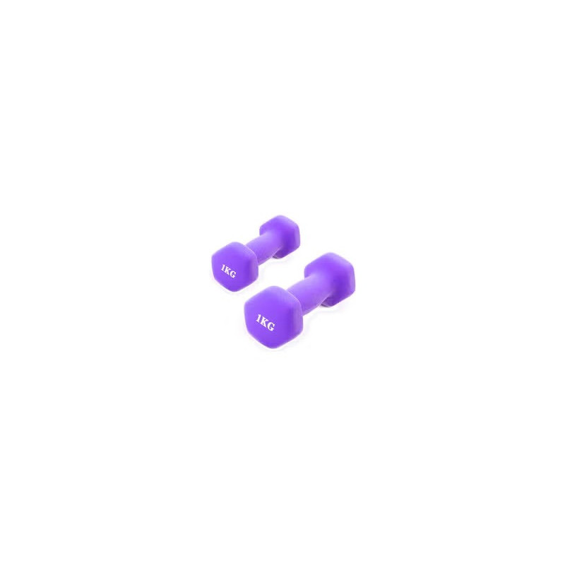 2-Piece Hexagon Dumbbell Set, Purple Colour, 1 Kg Each