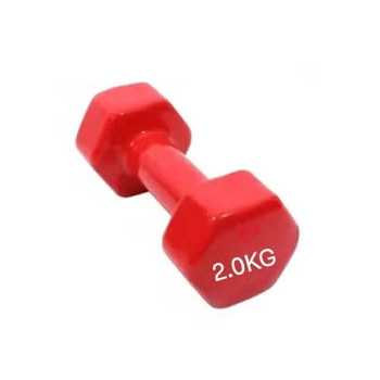 1-Piece Weight Lifting Training Dumbbell Set, Red Colour, 2 Kg