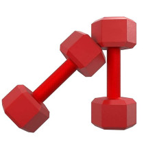 1-Piece Weight Lifting Training Dumbbell Set, Red Colour, 2 Kg