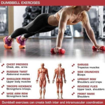 1-Piece Weight Lifting Training Dumbbell Set, Red Colour, 2 Kg