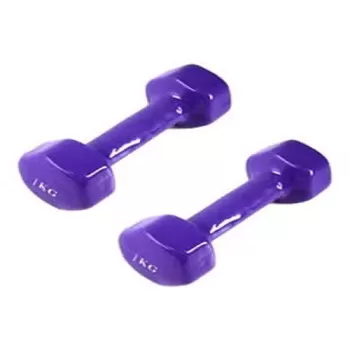 2-Piece Dumbbells Set,...