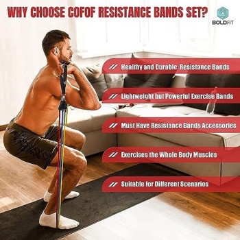 Fitness Insanity Resistance Band Set, Include 5 Stackable Exercise Bands 13.46 Inch