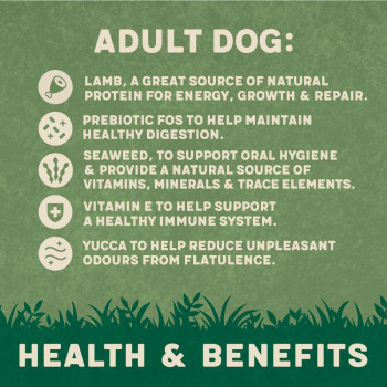 Harringtons 1.7kg Complete Lamb and Rice Adult Dry Dog Food