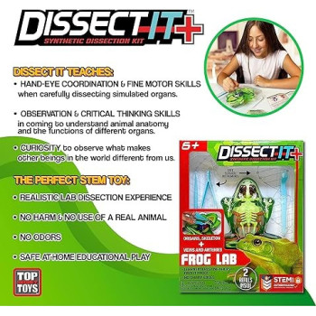 Dissect It Synthetic Dissection Kit Frog Lab, 38070