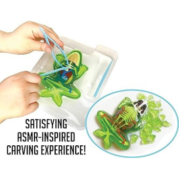 Dissect It Synthetic Dissection Kit Frog Lab, 38070