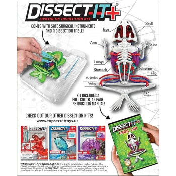 Dissect It Synthetic Dissection Kit Frog Lab, 38070