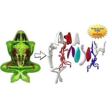 Dissect It Synthetic Dissection Kit Frog Lab, 38070