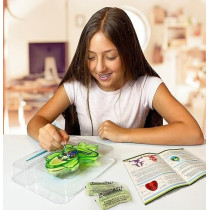Dissect It Synthetic Dissection Kit Frog Lab, 38070