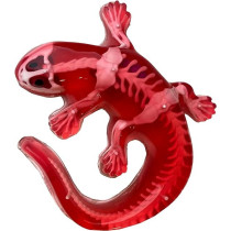 Dissect It Synthetic Dissection Kit Salamander, 38071