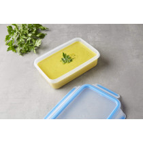 Tefal K3021812 Airtight Container, Rectangular, 0.8 L, Blue, Transparent