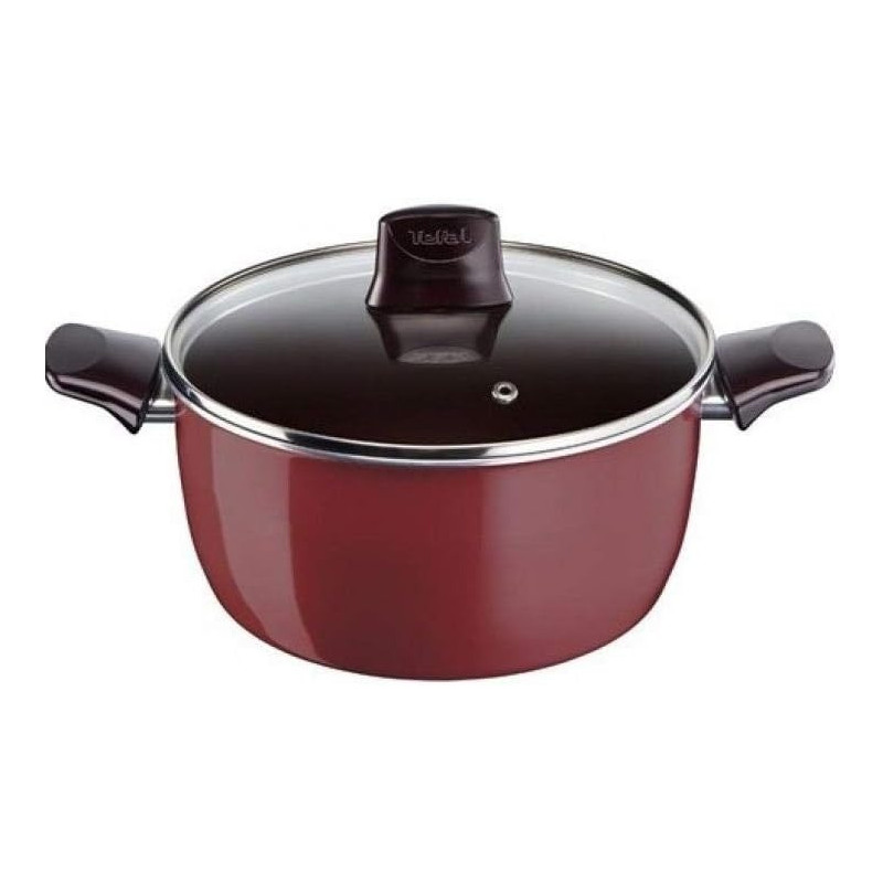 Tefal Pleasure Enamel Stewpot With Lid, 30 CM, Berry Red