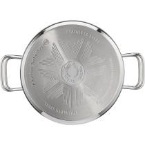 Tefal Intuition Stainless Steel 24 CM Casserole With Lid, 4.9 Litre, Silver Colour, A7024615