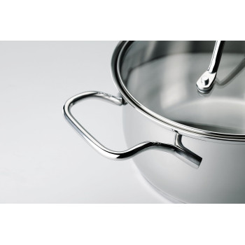 Tefal Intuition Stainless Steel 24 CM Casserole With Lid, 4.9 Litre, Silver Colour, A7024615