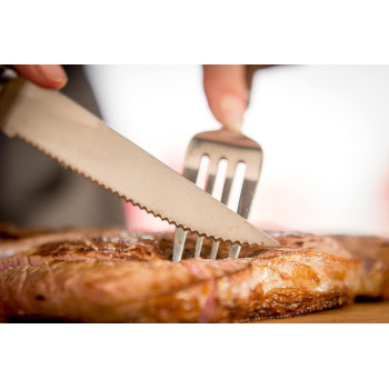Tefal Ice Force Stainless Steel Steak Knives 11CM Set Of 4, Premium Design