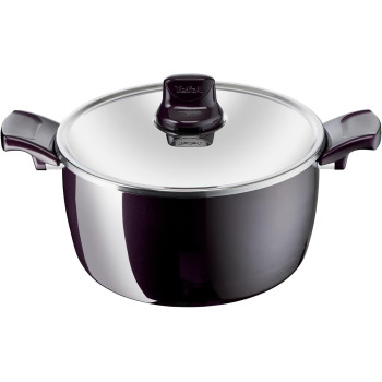 Tefal Cooking Pot Resist Intense 22 CM Casserole With Glass Lid Non-Stick Coating Glass Lid Healthy Cooking Safe Cookware