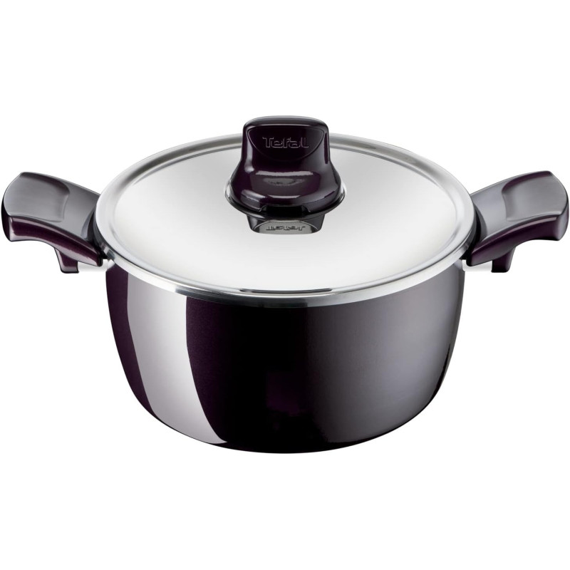 Tefal Cooking Pot G6 Resist Intense 24 CM Stewpot With Lid, Aluminium, Burgundy