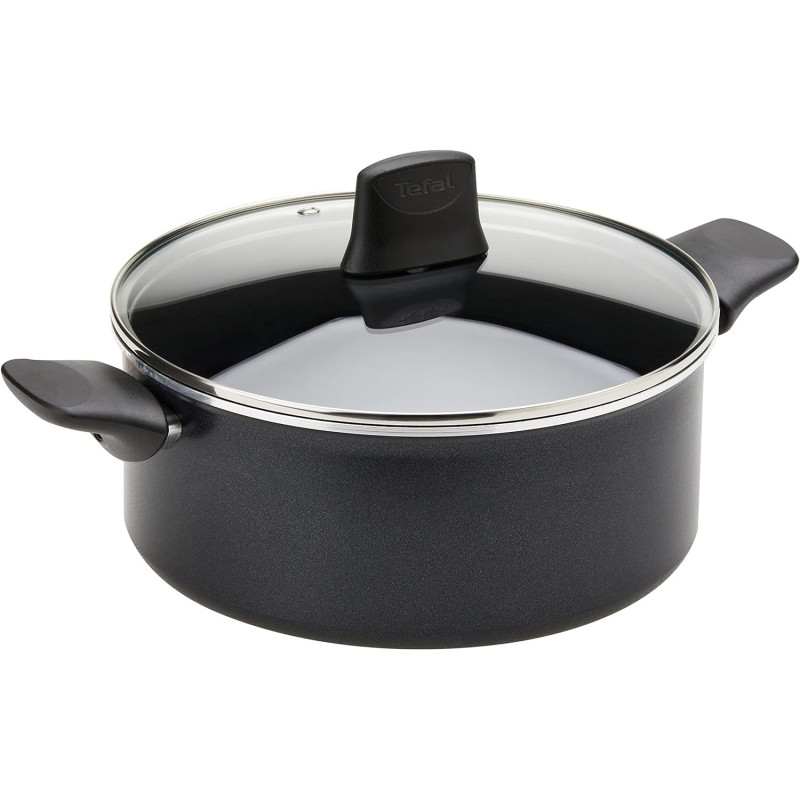 Tefal Aluminium Generous Cook Non-Stick Induction Stewpot 24CM/4.5L