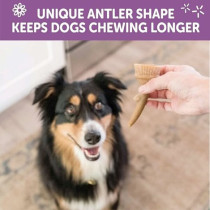 Whimzees Occupy Antler Natural Dental Chews For Dogs, 360G, Large, 6Pc (Pack Of 6)