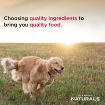 Diamond Naturals Small And Medium Breed Puppy Rich In Chicken And Rice, 2kg (Pack of 6)