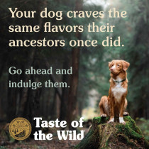 Taste of The Wild High Prairie Puppy Recipe 2kg