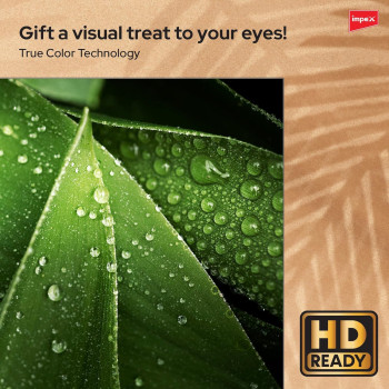 Impex 32 Inch HD Smart LED TV - Android 9.0, Quad-Core Processor, E-Share, A+ Grade Panel, 2-Year Warranty, HDMI, USB, WiFi, Wall Mount, Super Slim - Multilingual OSD, HD Ready, Energy Saving - Gloria 32 Smart